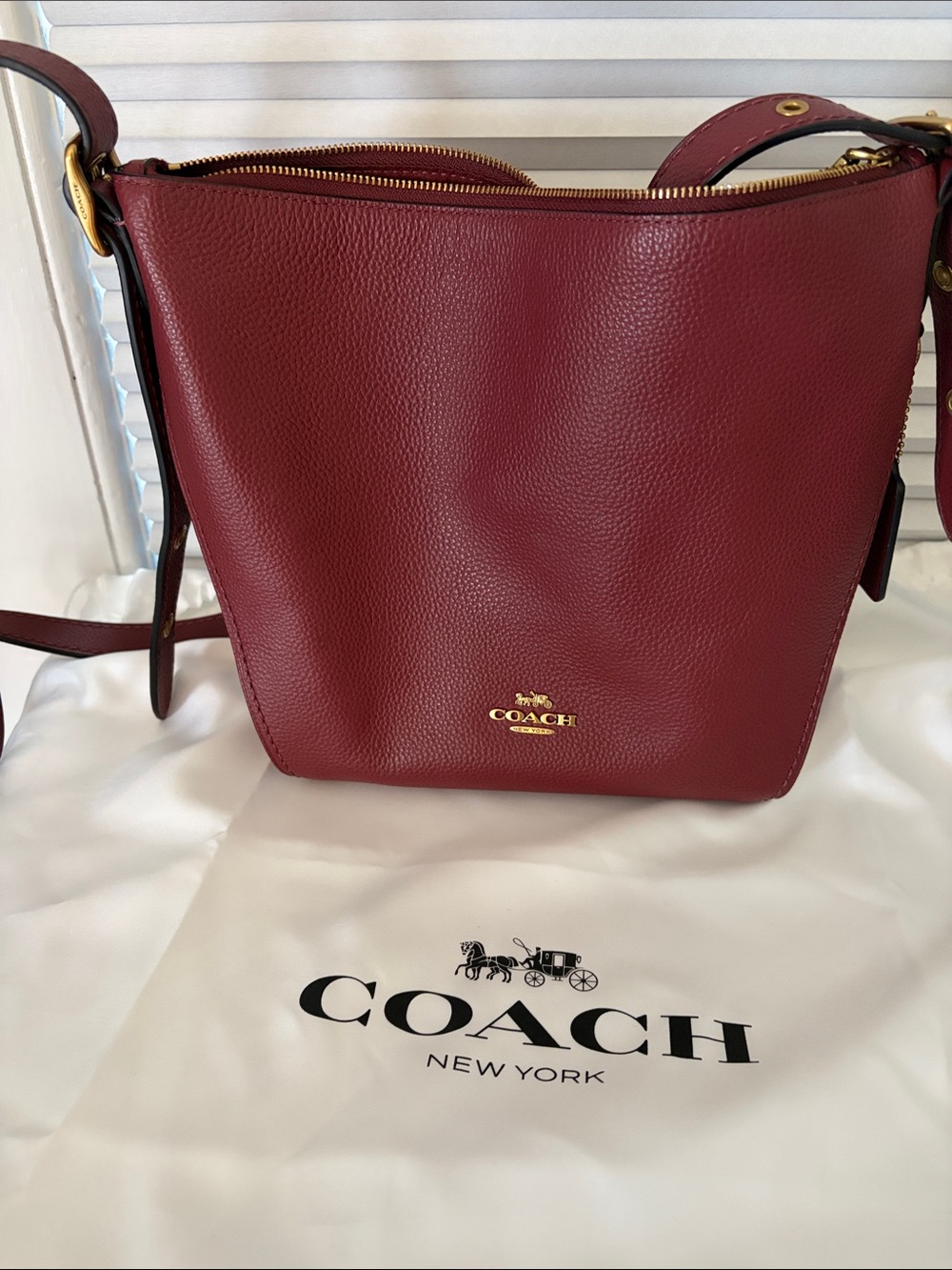 Coach Pebbled Leather Crossbody Bucket Bag in Wine